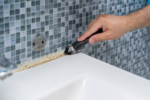 Best Black Mold Removal  in Port Norris, NJ