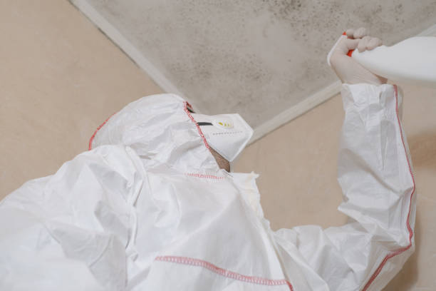 Best Office Mold Removal Services  in Port Norris, NJ